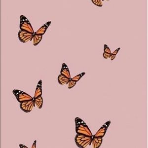 Meet your Posher, Bella